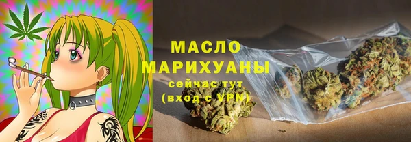 шишки Покачи