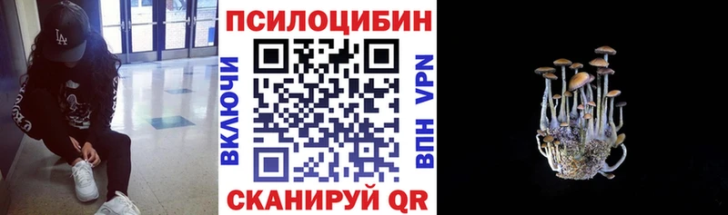 Псилоцибиновые грибы Cubensis  дарк нет Telegram  Щёкино  как найти закладки 